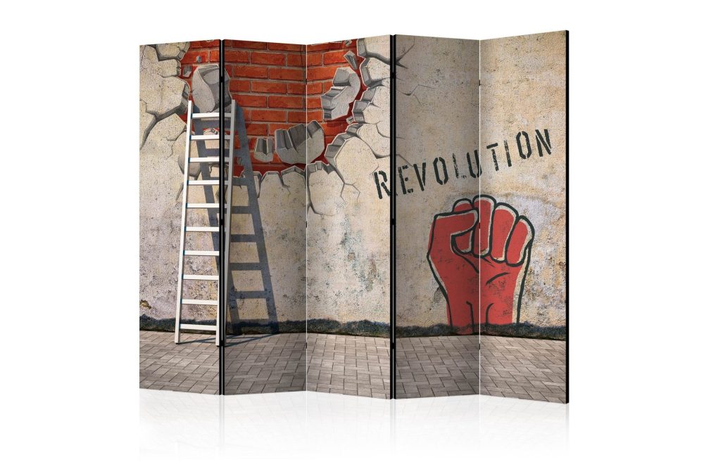 Rumsavdelare - The invisible hand revolution 225x172