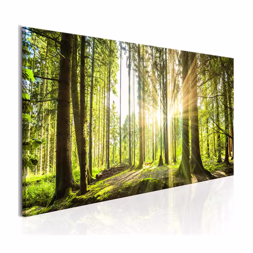 Tavla Arkiio Daylight 135x45 cm