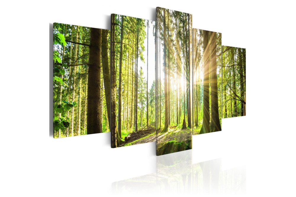 Tavla Forest Kingdom 100x50