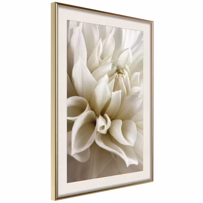 Poster Artgeist Affisch Beautiful Dahlia Guld ram med passepartout, 40x60 cm