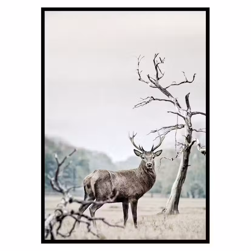 Poster Gallerix Winter Deer Storlek: 30x40 cm