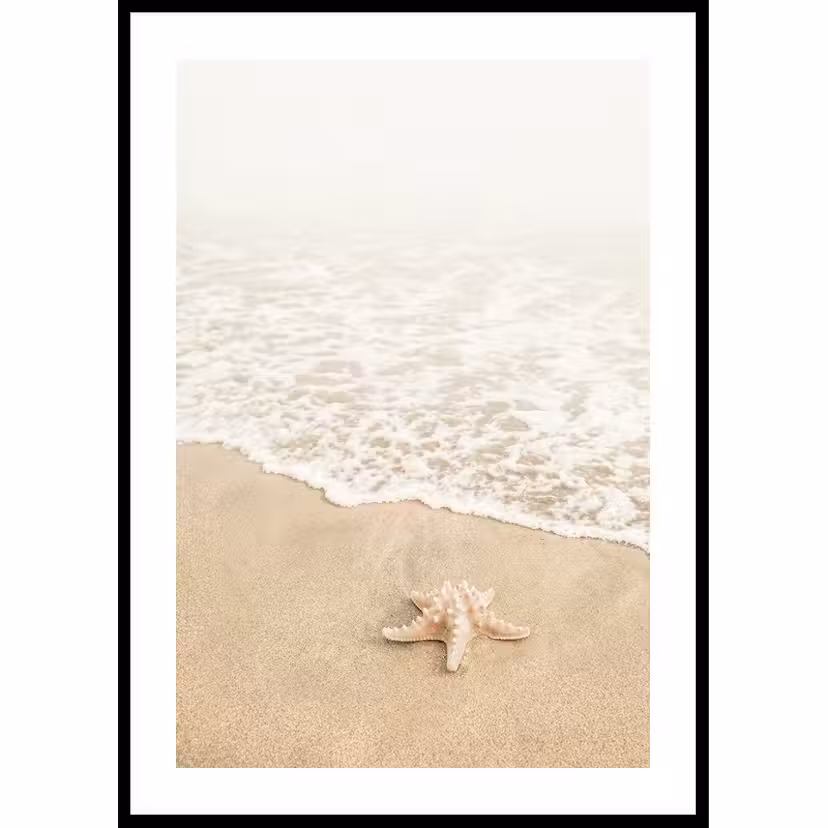 Poster Gallerix Shoreline Starfish 50x70 cm
