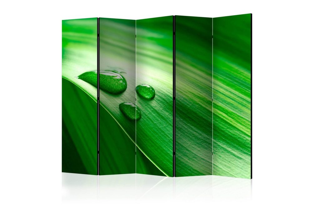 Rumsavdelare - Leaf and three drops of water II 225x172